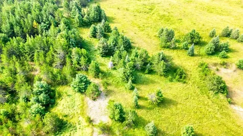 7349 Lax Road Embarrass MN 55732