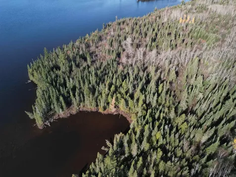 Lot 3 Fullerton Road Hovland MN 55606