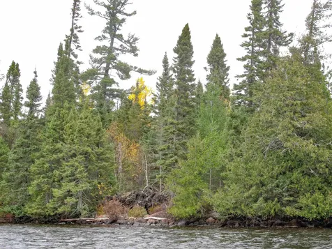 Lot 3 Fullerton Road Hovland MN 55606