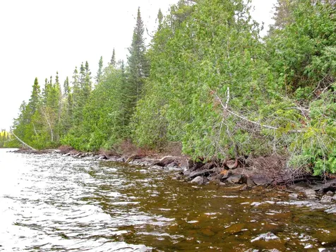 Lot 3 Fullerton Road Hovland MN 55606