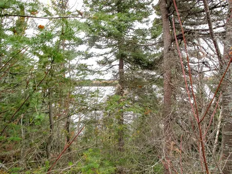 Lot 3 Fullerton Road Hovland MN 55606