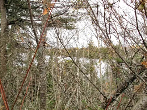 Lot 3 Fullerton Road Hovland MN 55606