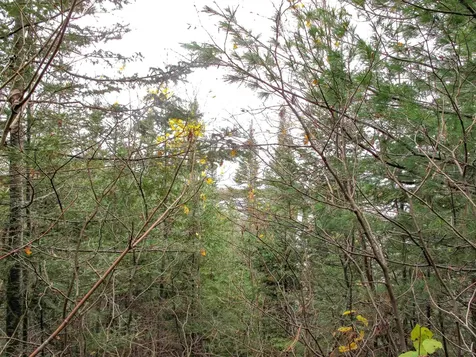 Lot 3 Fullerton Road Hovland MN 55606