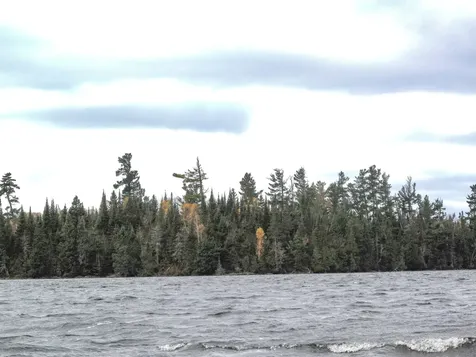 Lot 3 Fullerton Road Hovland MN 55606