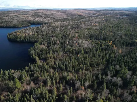 Lot 3 Fullerton Road Hovland MN 55606