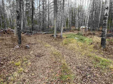 4002 Shiloh Trail Ely MN 55771-0000