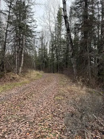 4002 Shiloh Trail Ely MN 55771-0000