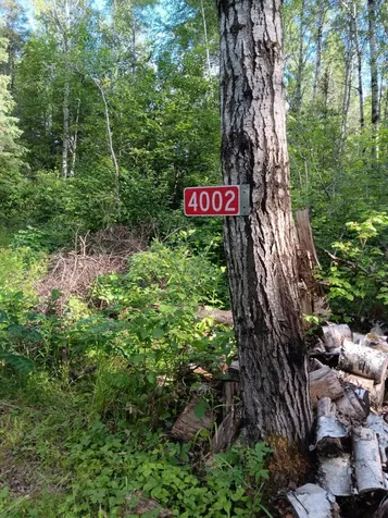 4002 Shiloh Trail Ely MN 55771-0000