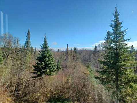 4571 Forest Road 609 Finland MN 55603