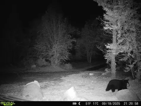 4571 Forest Road 609 Finland MN 55603