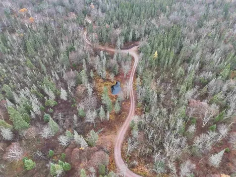 4571 Forest Road 609 Finland MN 55603