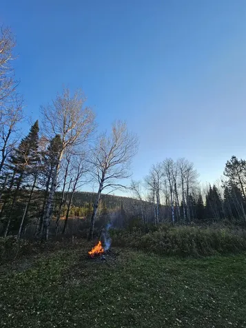 7177 Cramer Road Finland MN 55603