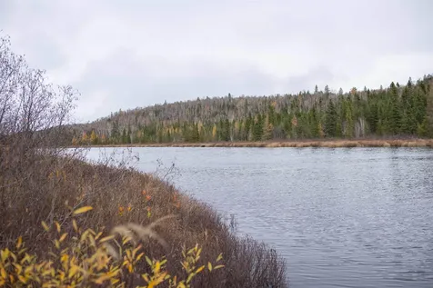 7177 Cramer Road Finland MN 55603