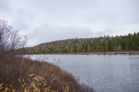 7177 Cramer Road Finland MN 55603