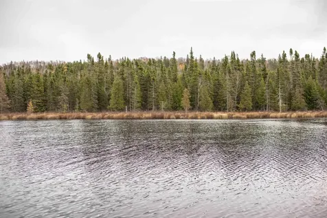 7177 Cramer Road Finland MN 55603