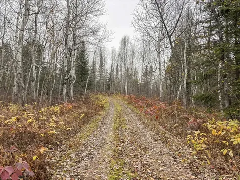 7177 Cramer Road Finland MN 55603