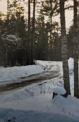 1346 Bear Head State Park Road Ely MN 55731