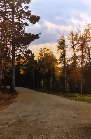 1346 Bear Head State Park Road Ely MN 55731