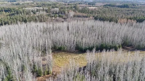 4017 Highway 25 Iron MN 55751