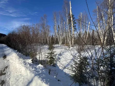 118 Rollins Ridge Tofte MN 55615