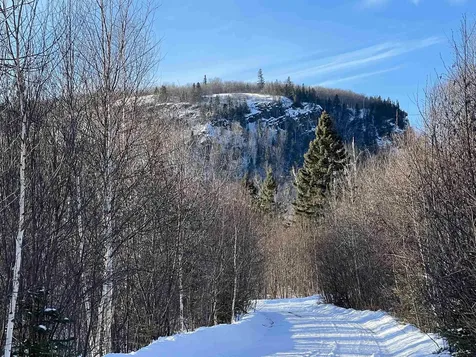 118 Rollins Ridge Tofte MN 55615