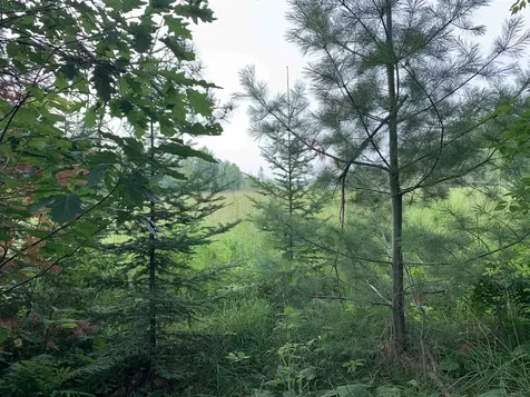 3277 Highway 210 Sawyer MN 55720