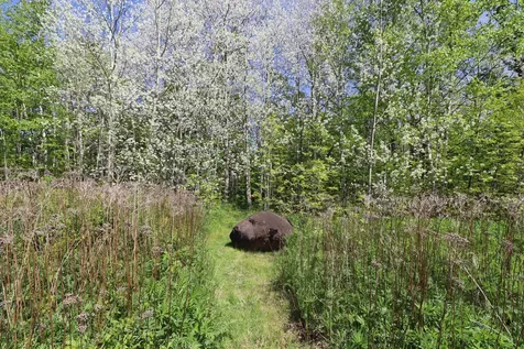 Lot 38 Eagle Run Bayfield WI 54814