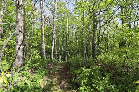 Lot 38 Eagle Run Bayfield WI 54814