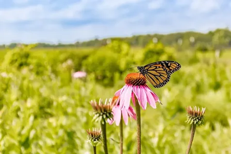 7177 Highway 210 Tamarack MN 55787-8623