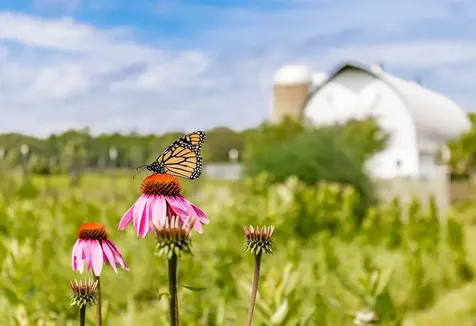 7177 Highway 210 Tamarack MN 55787-8623