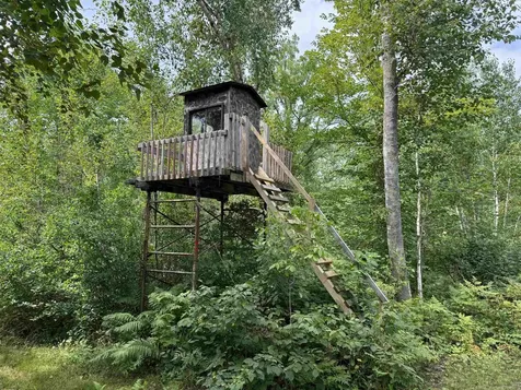 72237 Markville Road Sandstone MN 55072