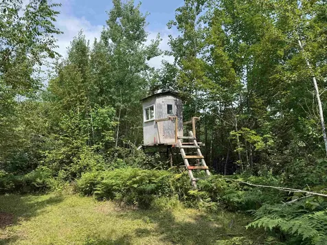 72237 Markville Road Sandstone MN 55072