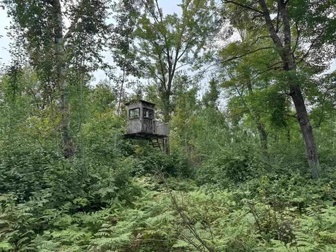 72237 Markville Road Sandstone MN 55072