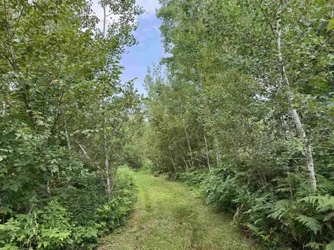 72237 Markville Road Sandstone MN 55072