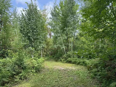 72237 Markville Road Sandstone MN 55072