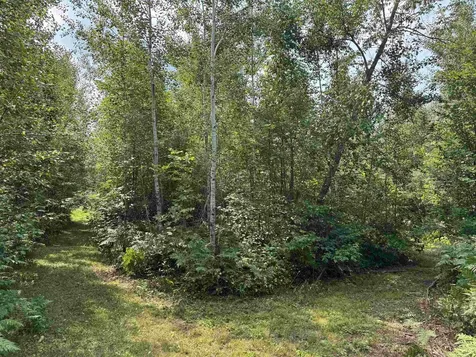 72237 Markville Road Sandstone MN 55072