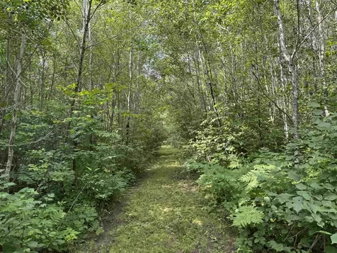 72237 Markville Road Sandstone MN 55072