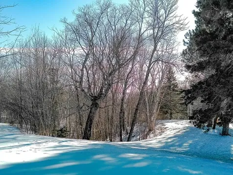 532X Caribou Trail Lutsen MN 55612