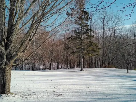 532X Caribou Trail Lutsen MN 55612