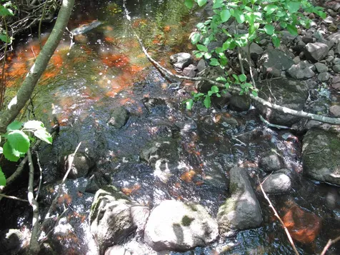 532X Caribou Trail Lutsen MN 55612