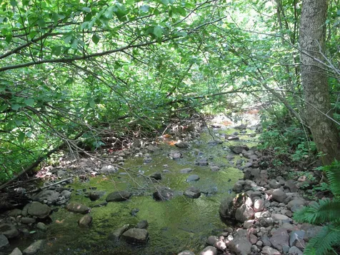 532X Caribou Trail Lutsen MN 55612