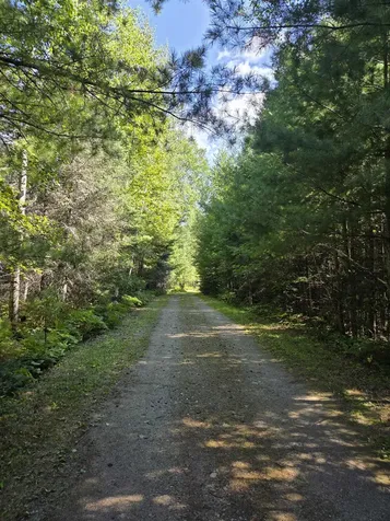 1663 Saari Road Ely MN 55731