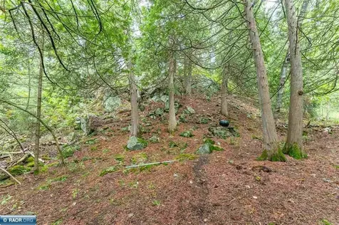 5262 S Ely Island Tower MN 55790