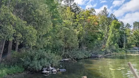 8159 Ludlow Road Cook MN 55723