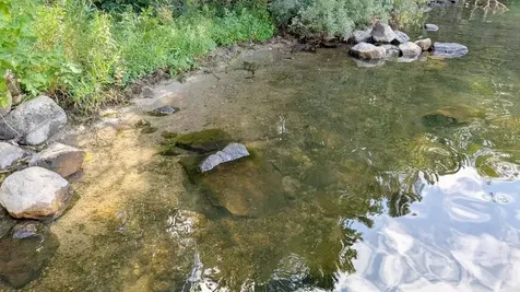 8159 Ludlow Road Cook MN 55723