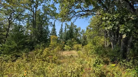 Tbd Lake Vermilion Tower MN 55790