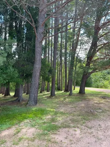 3215 County Road 904 Babbitt MN 55706-0000