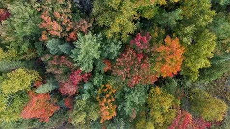 2375 Viste Point Road Ely MN 55731