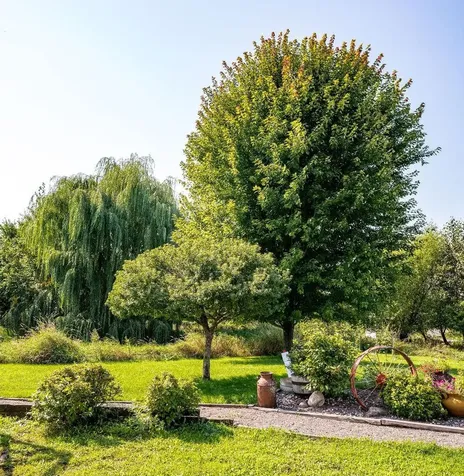 60445 W Summit Road Ashland WI 54806