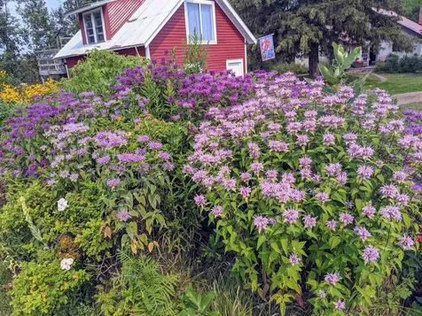 60445 W Summit Road Ashland WI 54806